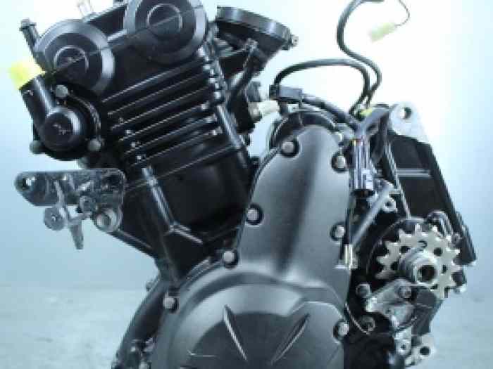 Moteur Kawasaki ER6 2014