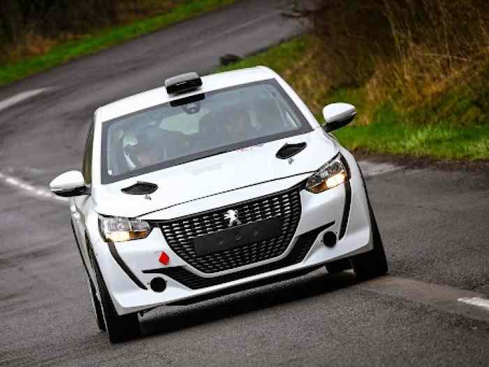 BRAND NEW Peugeot 208 Rally4 for sale ...