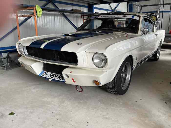 Mustang Shelby 350 GT