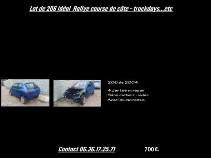 Caisse de 206 idéal Rallye - Track Days - Course de côte...etc.