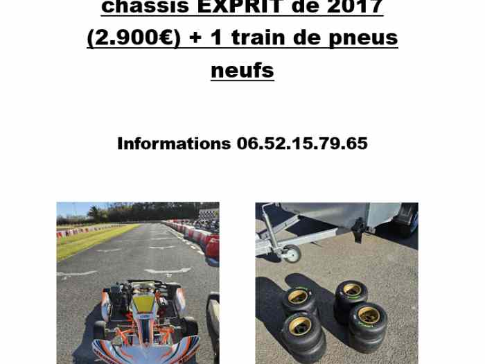 Vente Karting Rotax Max Evo 125 2017