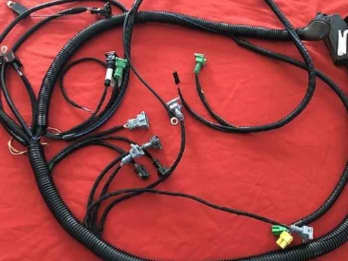 Faisceau moteur saxo/106 tu5j4 1