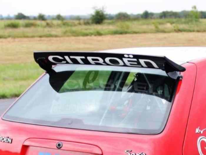 Aileron Saxo kit car 0