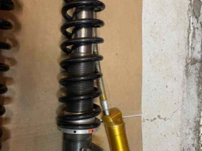 Amortisseur Ohlins clio r3 Max - terre 1