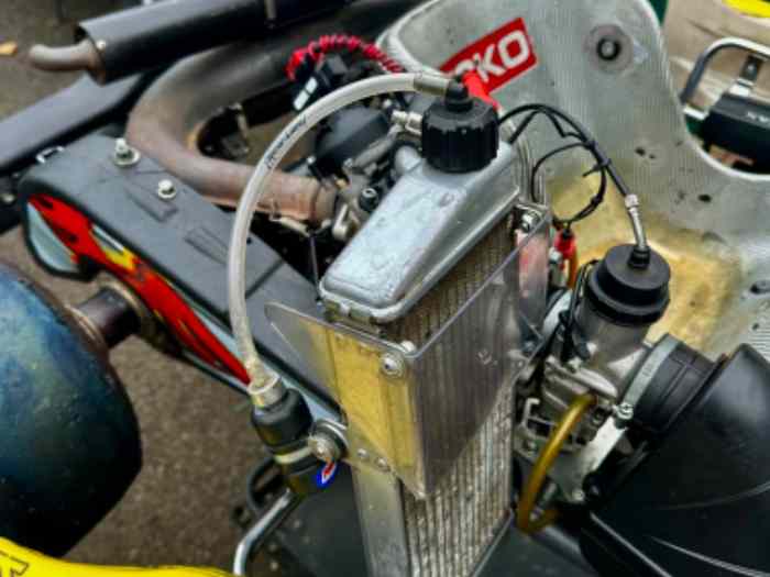 Rotax max 125cc Kart republic KR2 2022 1
