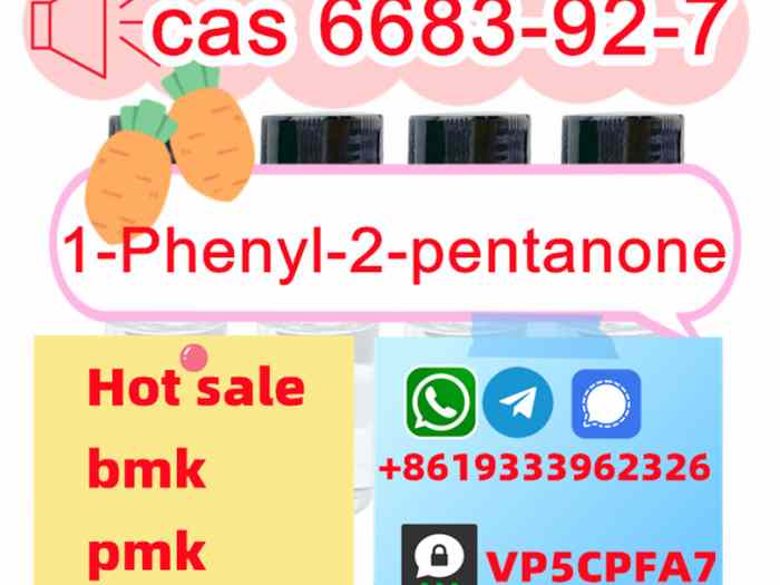 6683-92-7 supplier 1