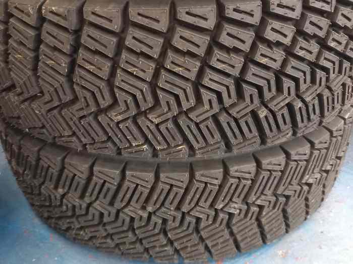 Pneu terre pirelli