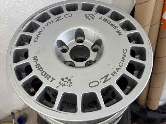 jantes Fiesta R2J R2T OZ MSport terre