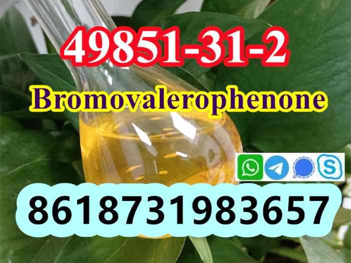 49851-31-2 OIL Bromovalerophenone Russia 4