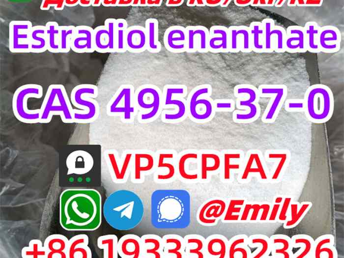 4956-37-0 supplier 0