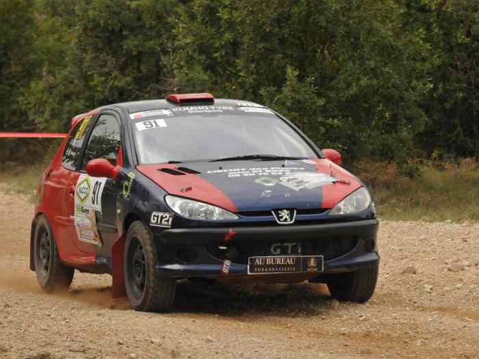 PEUGEOT 206 RC Terre 1