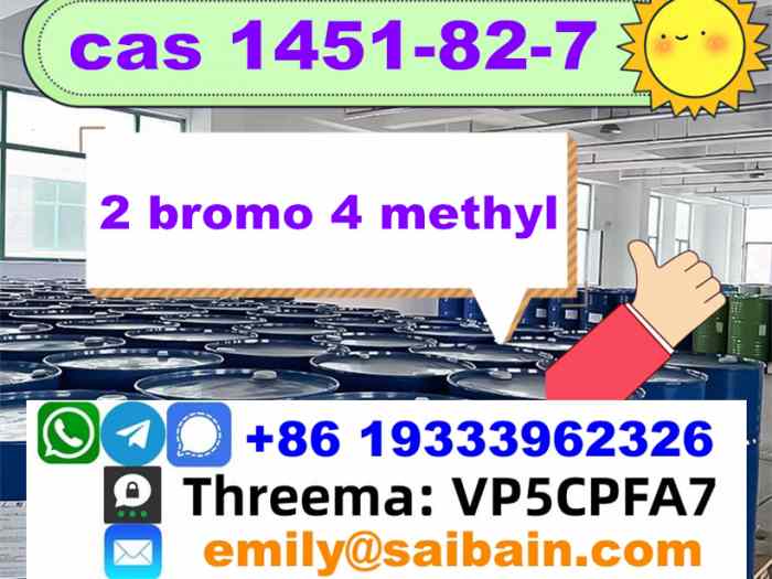 1451-82-7 2B4M supplier 2