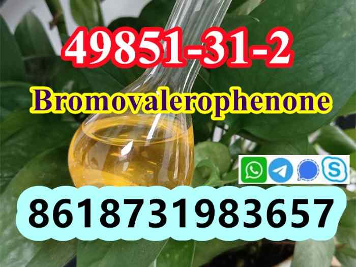49851-31-2 OIL Bromovalerophenone Russia 2