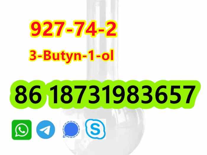 927-74-2 3-Butyn-1-ol liquid ship worldwide 3