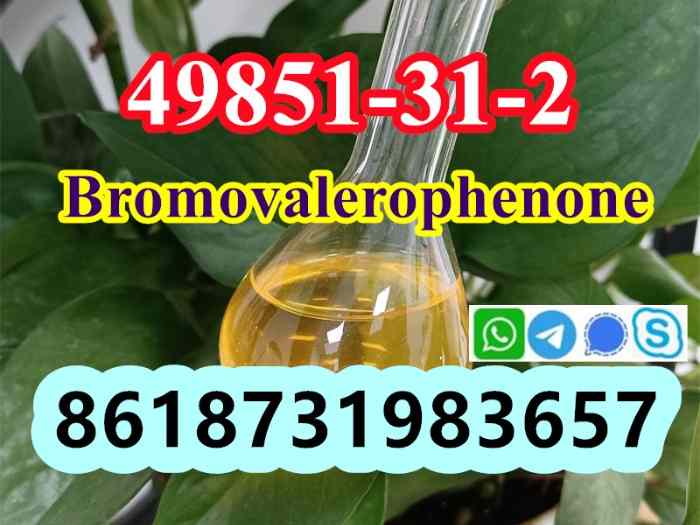 49851-31-2 OIL Bromovalerophenone Russia 3
