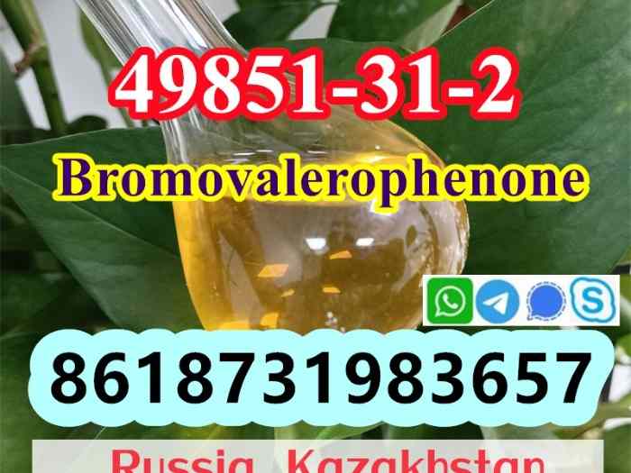49851-31-2 OIL Bromovalerophenone Russia 0