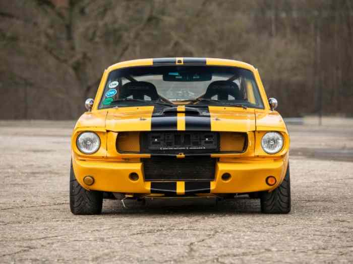 Ford Mustang Fastback 