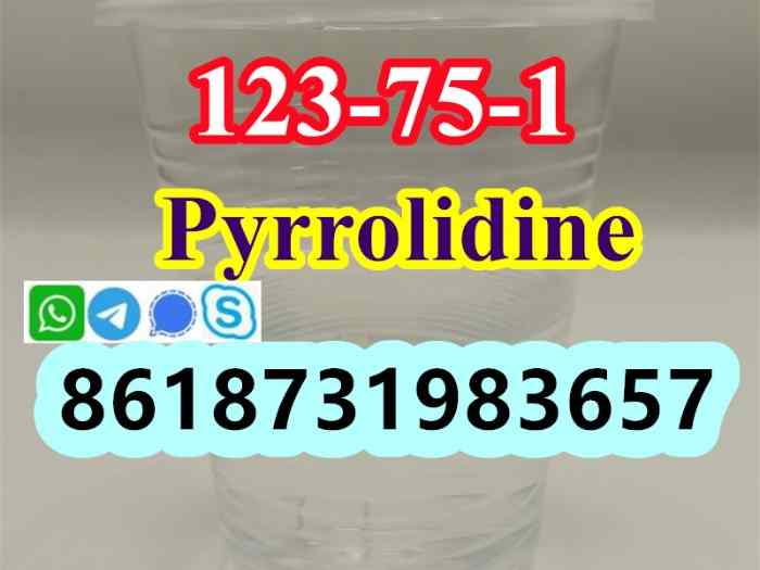 123-75-1 Pyrrolidine supplier 2