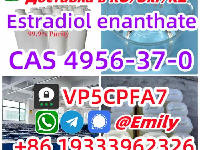 4956-37-0 supplier 2