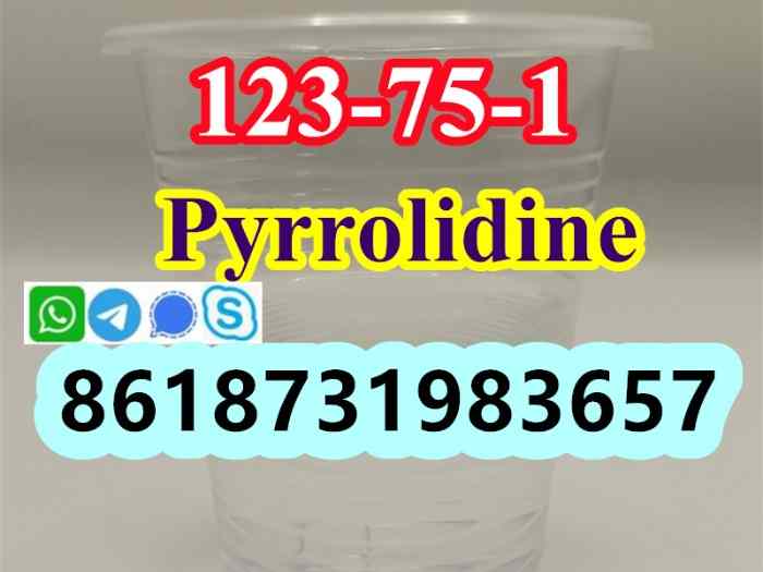 123-75-1 Pyrrolidine supplier 3