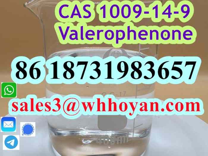 1009-14-9 Valerophenone safe shipment 3
