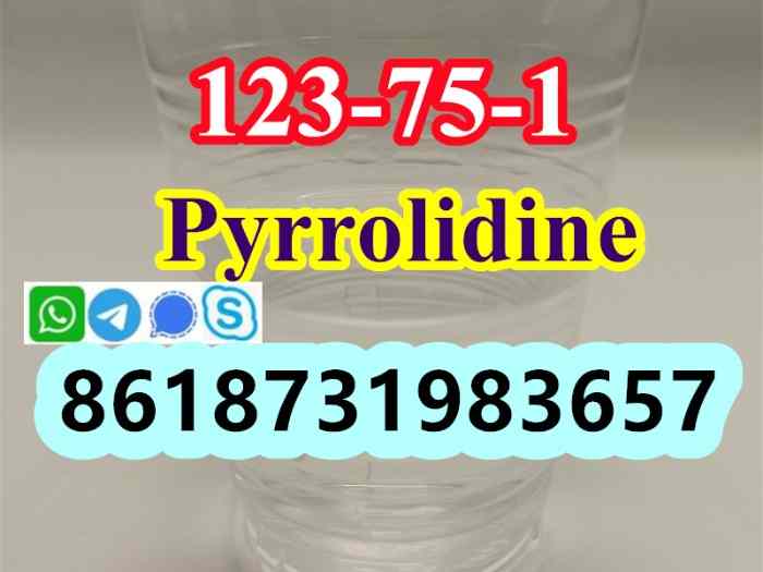 123-75-1 Pyrrolidine supplier 1