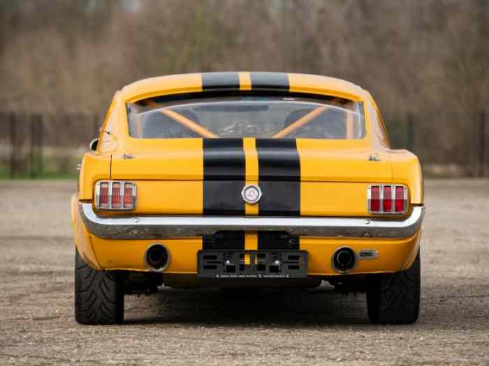 Ford Mustang Fastback 2