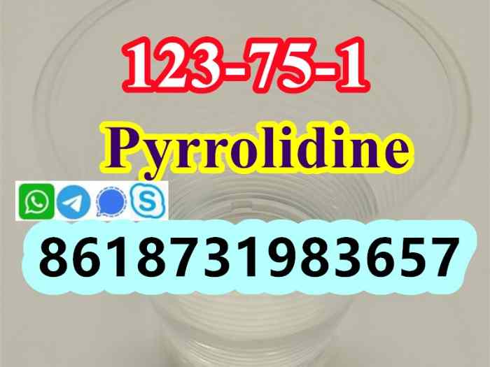 123-75-1 Pyrrolidine supplier 4
