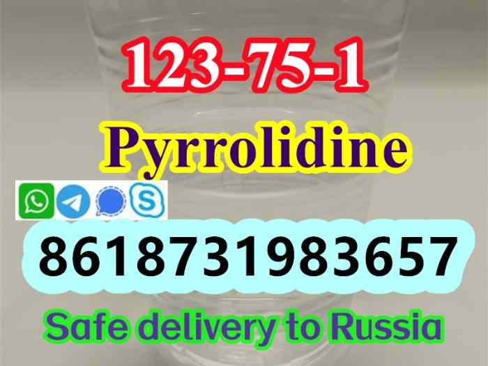 123-75-1 Pyrrolidine supplier 0