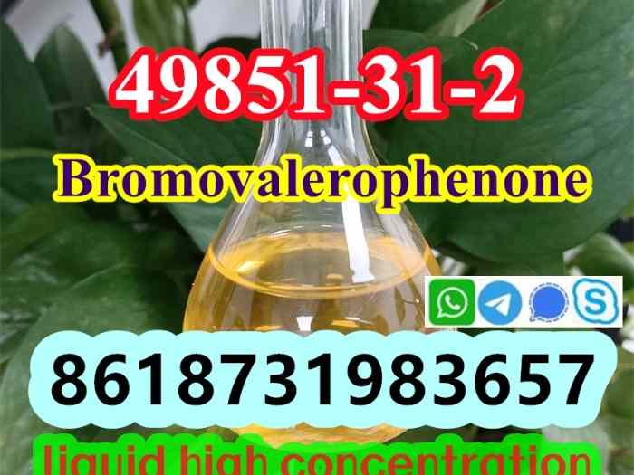 49851-31-2 OIL Bromovalerophenone Russia 1