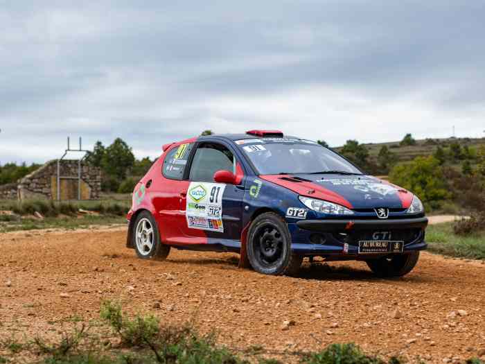 PEUGEOT 206 RC Terre 5