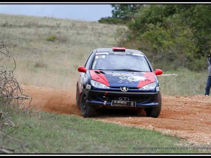 PEUGEOT 206 RC Terre 2