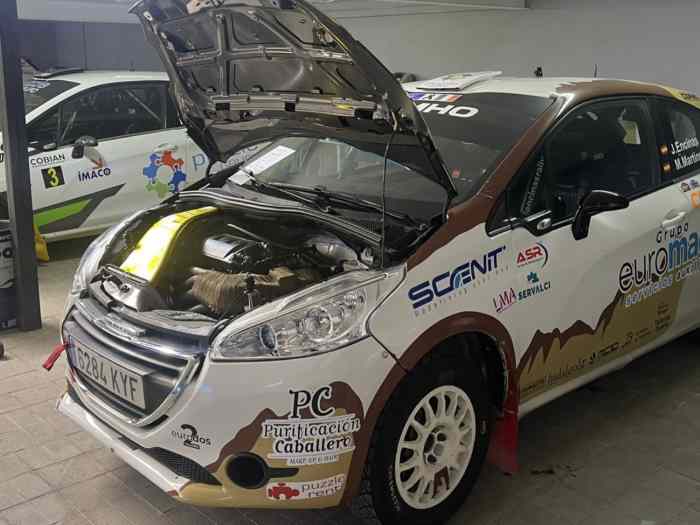 46.000 PEUGEOT 208R2 2018 (ALL EVOLUTIONS) 2