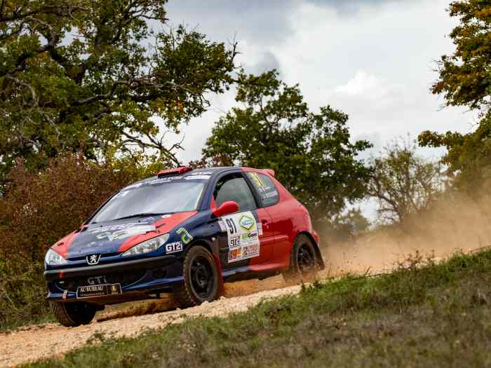 PEUGEOT 206 RC Terre 3
