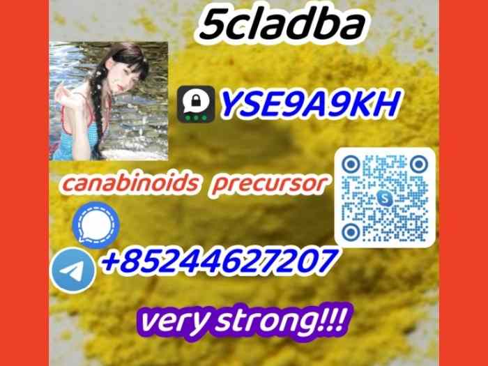5 c l a d b a,2709672-58-0,Good Effect(+85244627207)