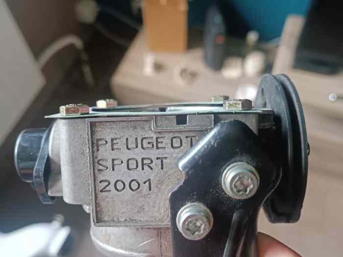 Collecteur Peugeot sport 1