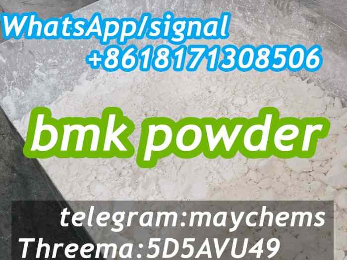 New BMK powder 5449-12-7 2