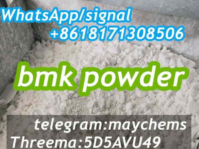 New BMK powder 5449-12-7 1