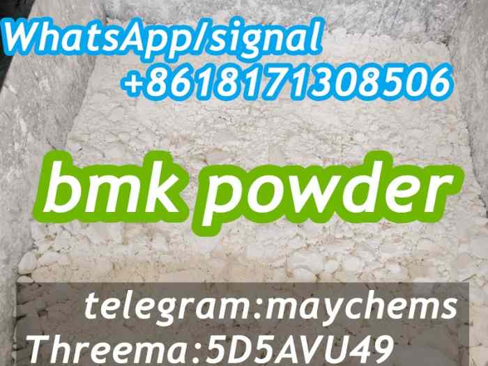 New BMK powder 5449-12-7 0