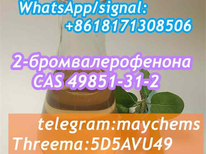 49851-31-2 OIL Bromovalerophenone Russia 3