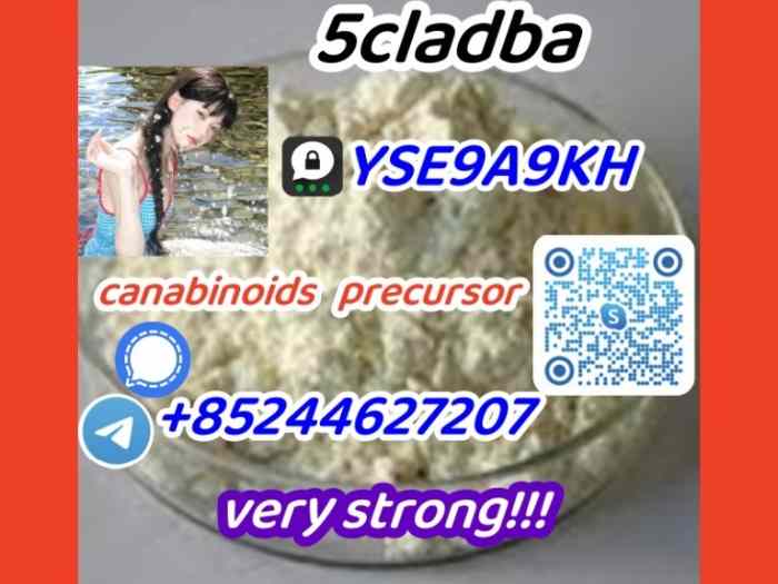 5 c l a d b a,2709672-58-0,No. 1 in sales(+85244627207)