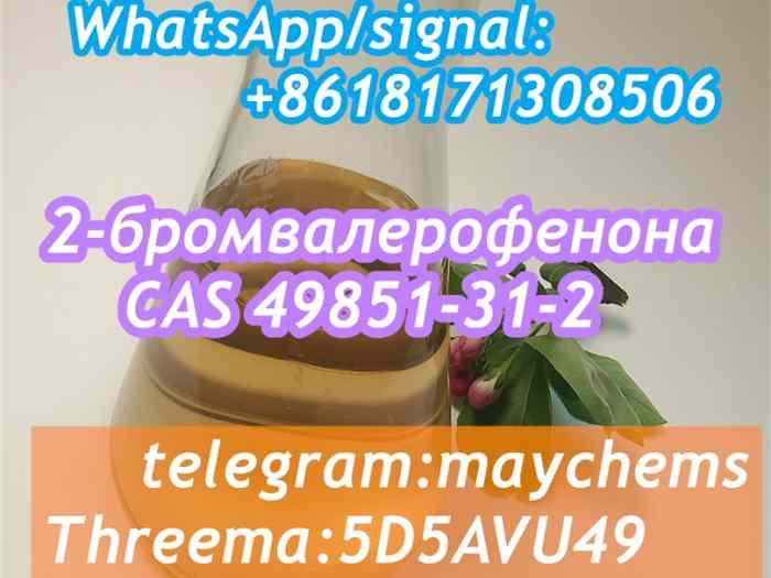 49851-31-2 OIL Bromovalerophenone Russia 4