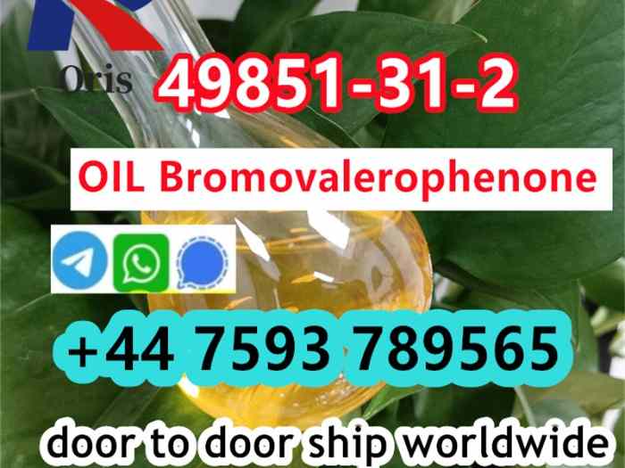 49851-31-2 OIL high purity door to door ship 2