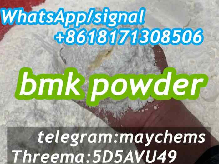 New BMK powder 5449-12-7 4