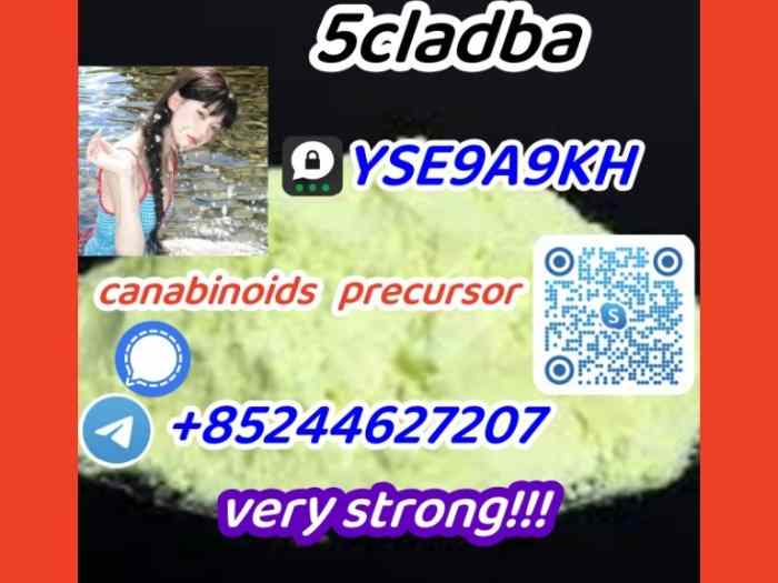 5 c l a d b a,2709672-58-0,High purity(+85244627207)