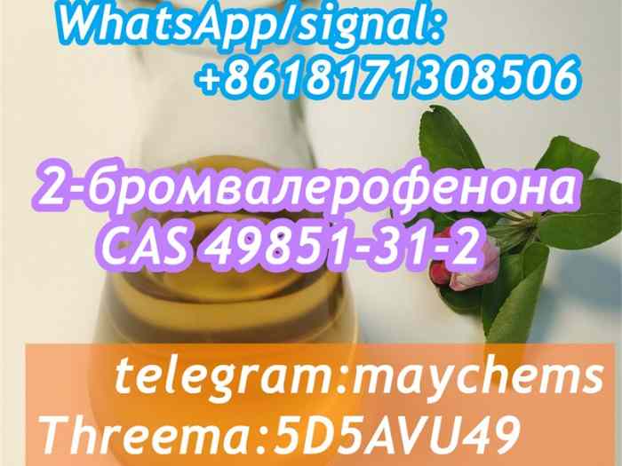 49851-31-2 OIL Bromovalerophenone Russia 0