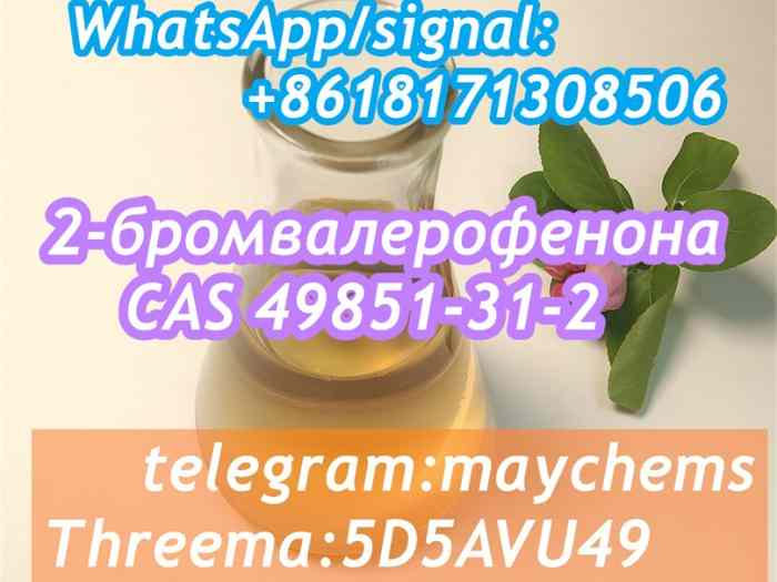 49851-31-2 OIL Bromovalerophenone Russia 5