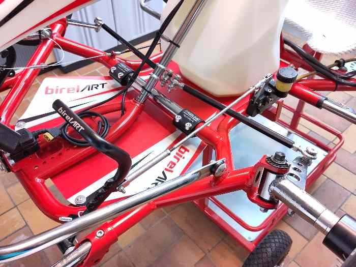 Kart Birel Art RY30 S12 2021 + Iame X30 125 Senior 4