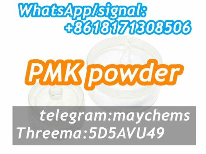 PMK powder / pmk wax Cas 28578-16-7 with best price 2
