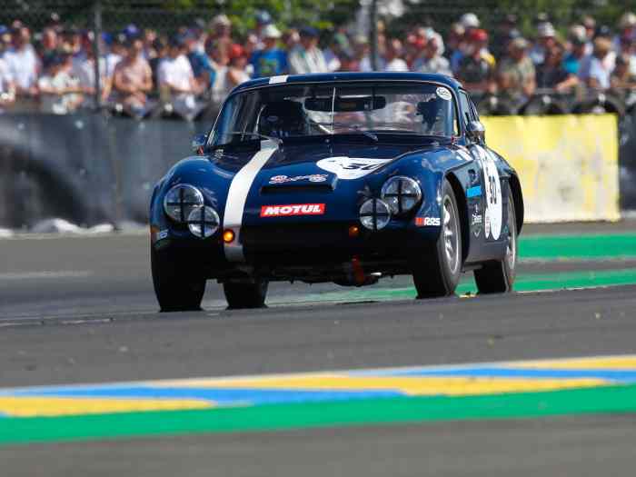 TVR GRANTURA MK3 1963 FIA 5